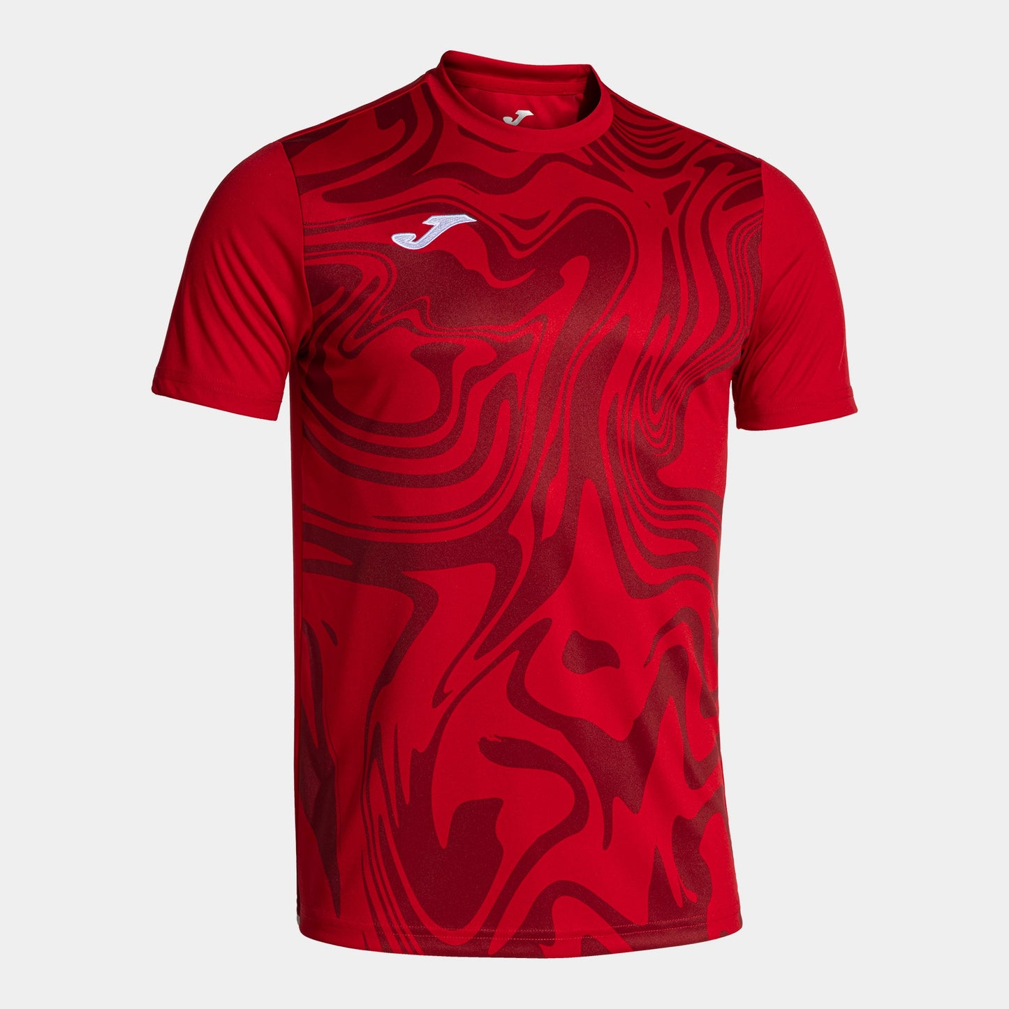 Lion II - Youth Jersey